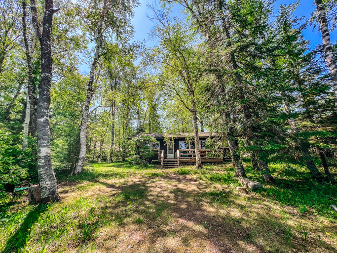 Once you arrive at Birch Hollow you will never want to leave.