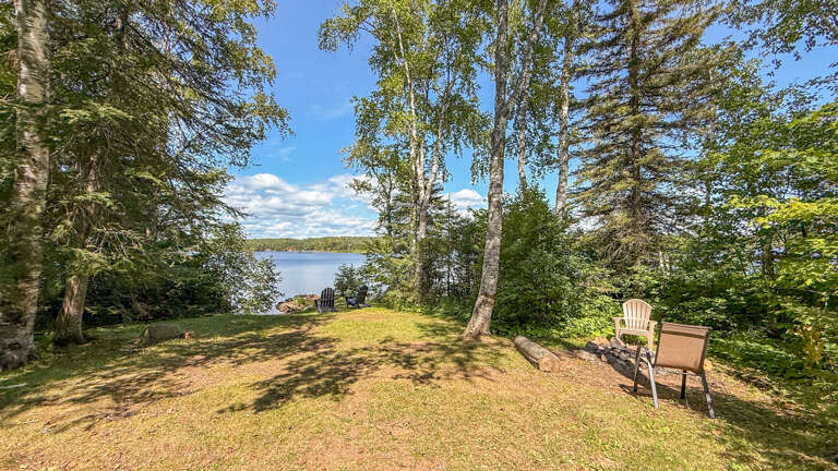 Peaceful lakefront setting surrounded by towering trees and quiet shoreline seating areas.