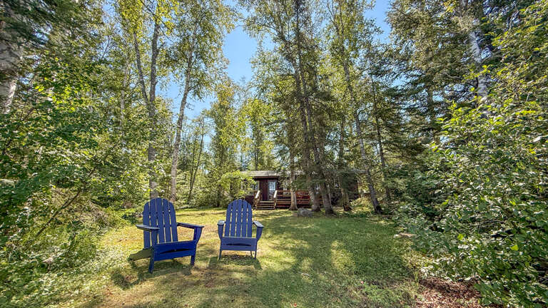 A peaceful woodland retreat nestles beyond your private seating area, where towering trees and dappled sunlight create a tranquil escape from everyday life.