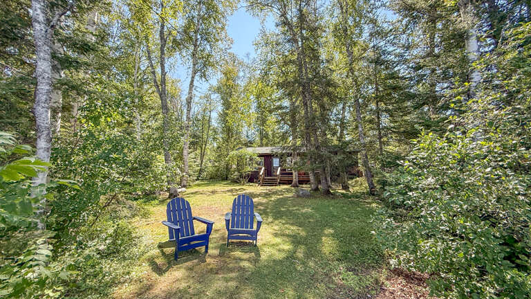 The property sits nestled among mature birch and evergreen trees, with a peaceful wooded setting creating a secluded natural retreat.