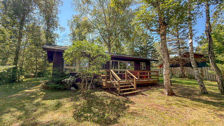 A secluded wood cabin retreat surrounded by sunlit birch trees and lush greenery, offering a peaceful woodland escape.