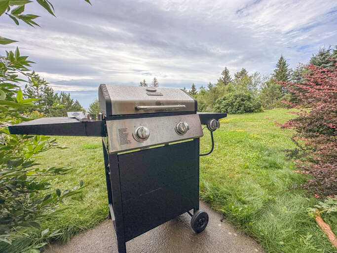 Grill on the lower level patio