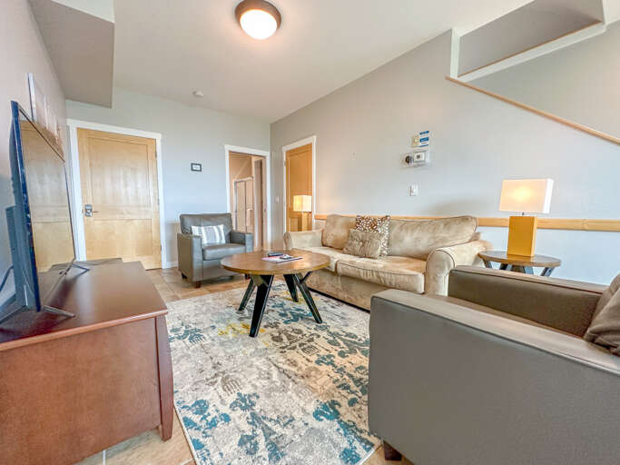 Lower level living room
