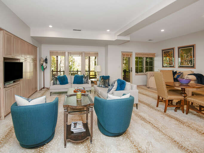 Lower Level Living Room