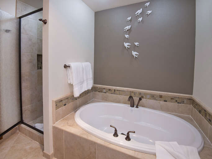 Main Bathroom Tub & Shower