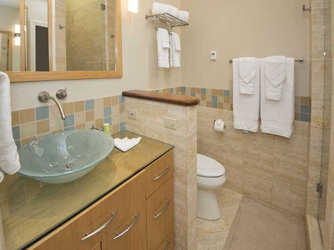 Main Bedroom Bathroom