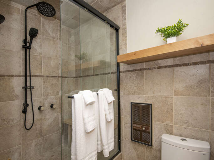 Main Bedroom Shower