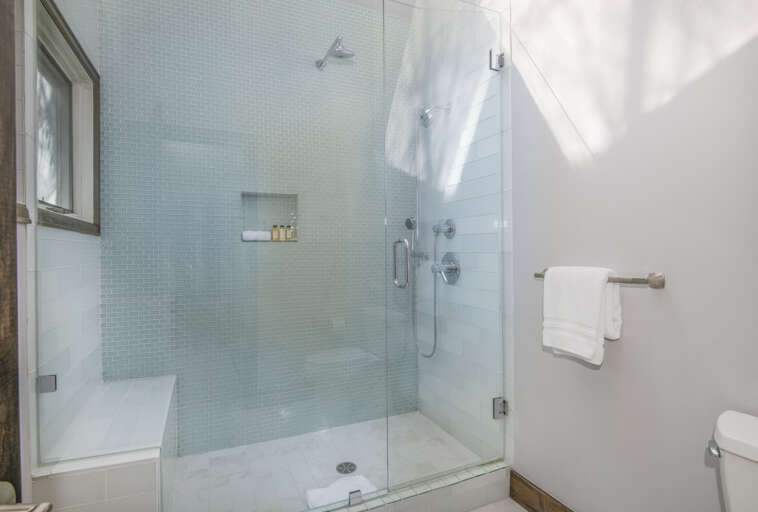 Primary Bathroom Shower