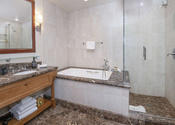 Primary Bathroom W/Jacuzzi Tub & Shower