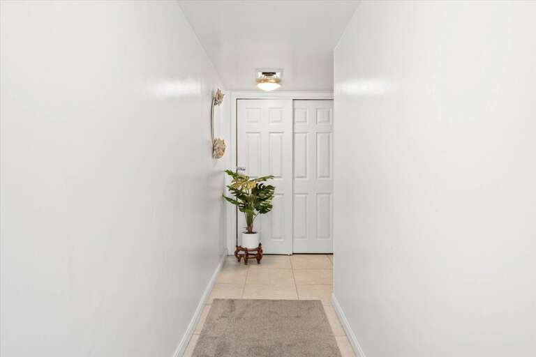 Bright Hallway Leading To White Doors, With Plant And Runner Rug