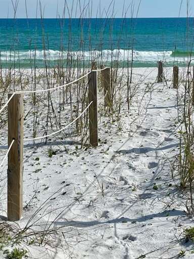 Path to beach Path to beach