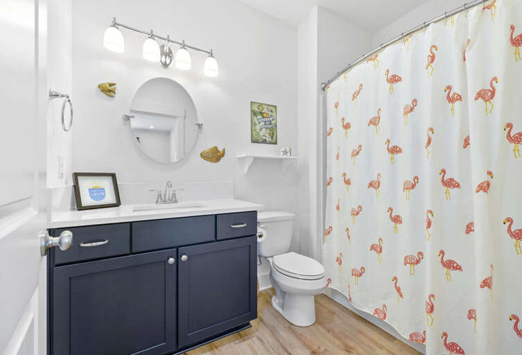 Find Rentals