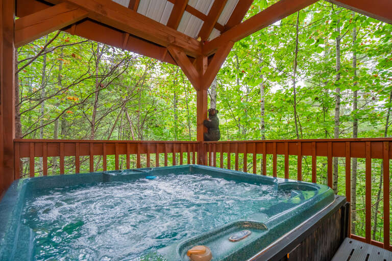 Forest View Hideaway Forest View Hideaway