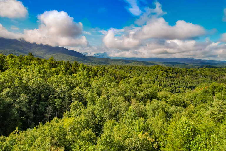 Gatlinburg Cabin Rental Gatlinburg Cabin Rental