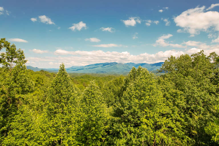 Gatlinburg Cabin Rental