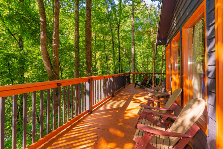 Find Rentals Find Rentals