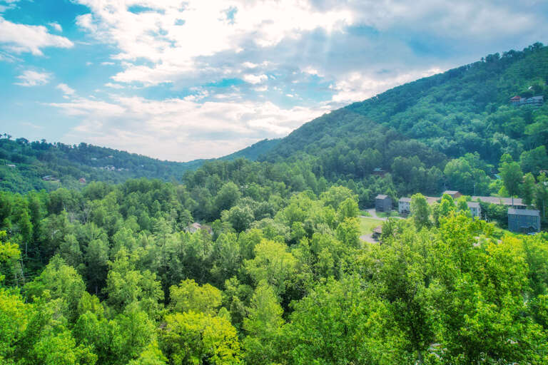 Gatlinburg Cabin Rental Gatlinburg Cabin Rental