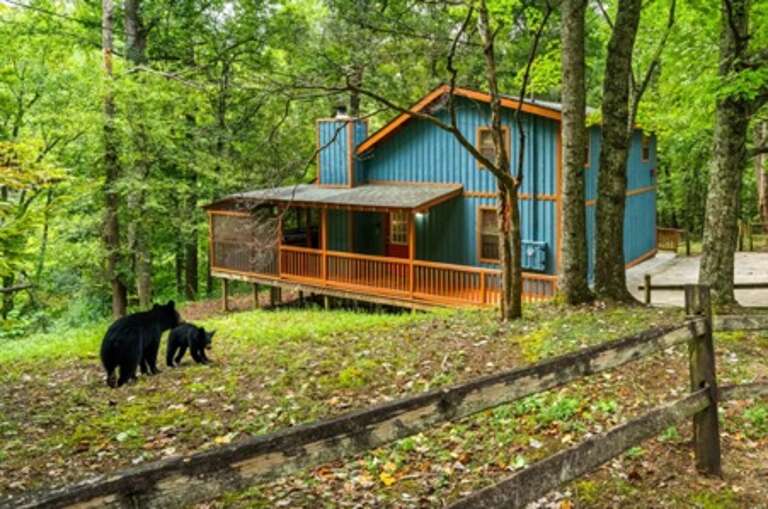 Sevierville Cabin Rental Sevierville Cabin Rental
