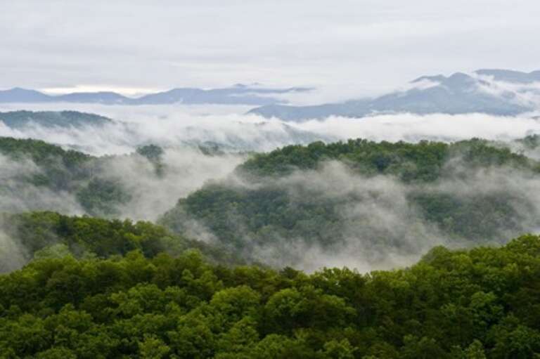 Pigeon Forge Cabin Rental