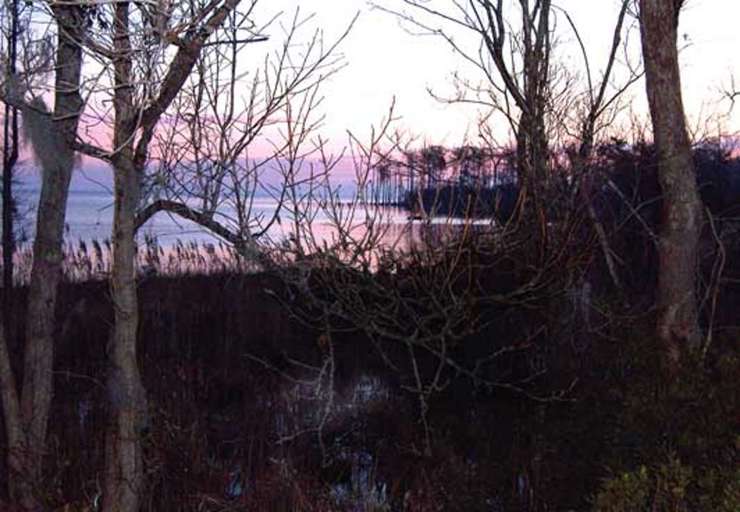 Sunrise from the porch.