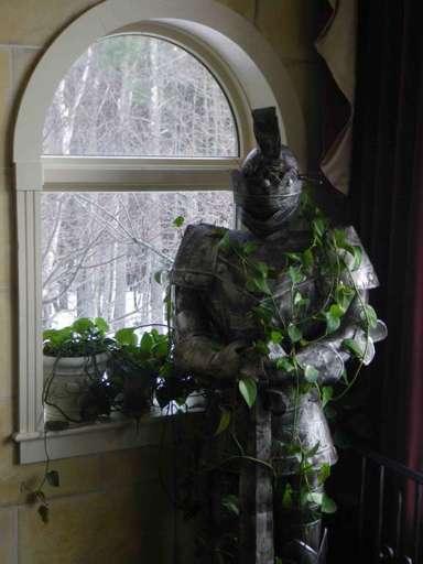 Knight in shining armour Knight in shining armour