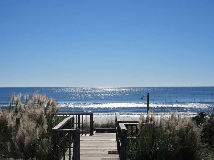 View From Deck View From Deck