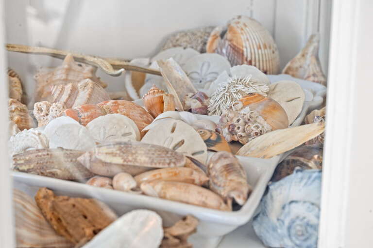 Shells