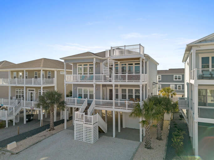 7 Sea Turtle Path