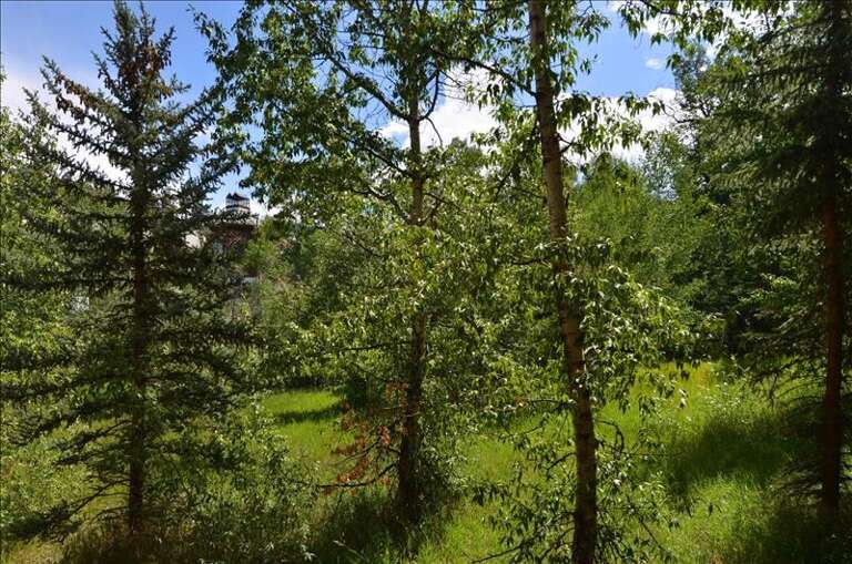 Townsend PL Neighborhood