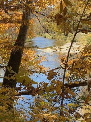 Fall foliage Fall foliage