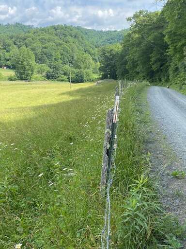 Spring stroll Spring stroll