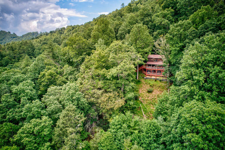 St Johns Ridge in the trees