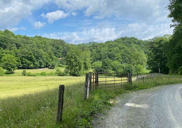 Summer stroll Summer stroll