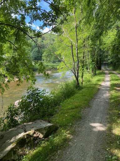 Watauga River nearby