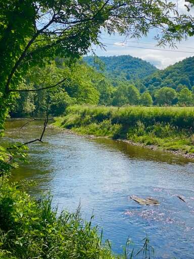 Watauga River nearby Watauga River nearby