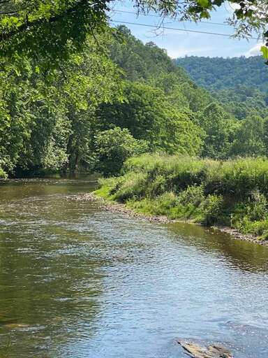 Watauga River nearby Watauga River nearby