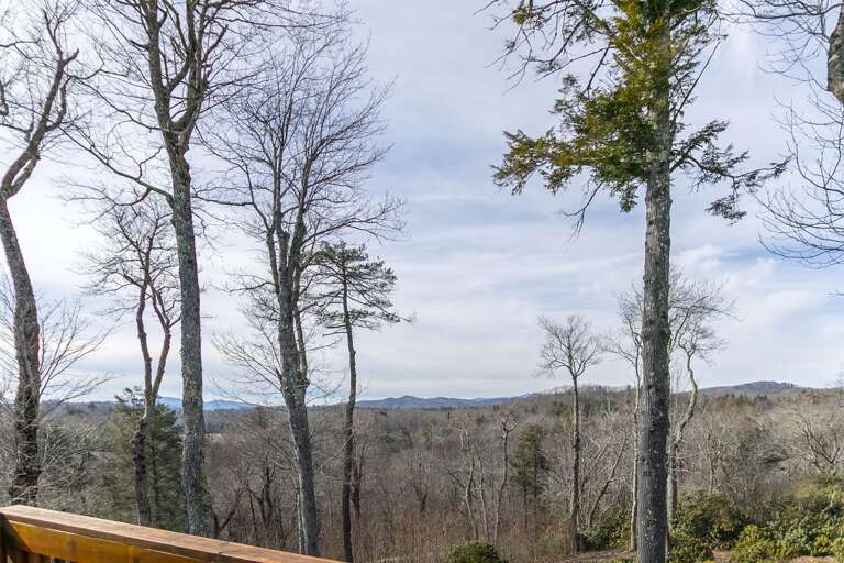 Mountain views from the deck