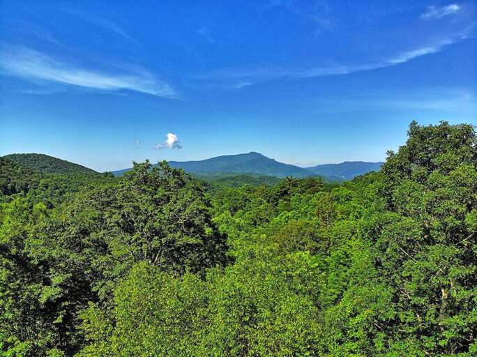 View of Grandfather Mountain