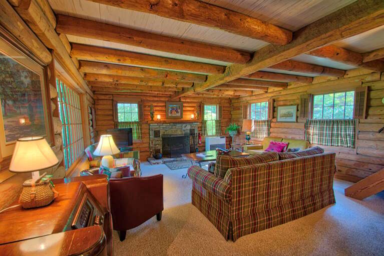 Living room with gas log fireplace Living room with gas log fireplace