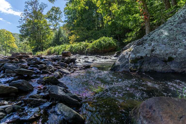 Elk River for fishing
