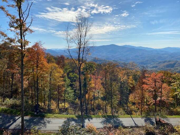 Views from the deck Views from the deck