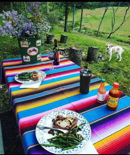 Outdoor Picnic Setup With Striped Tablecloth And Dog In Background