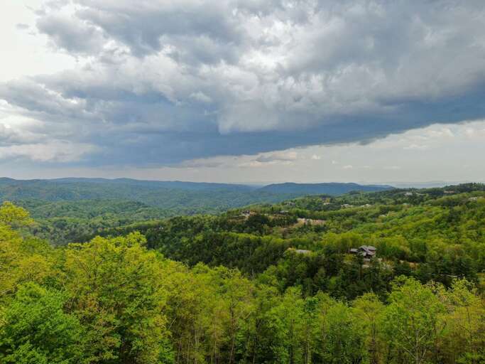 Landscape View Of Forest With Overcast Sky