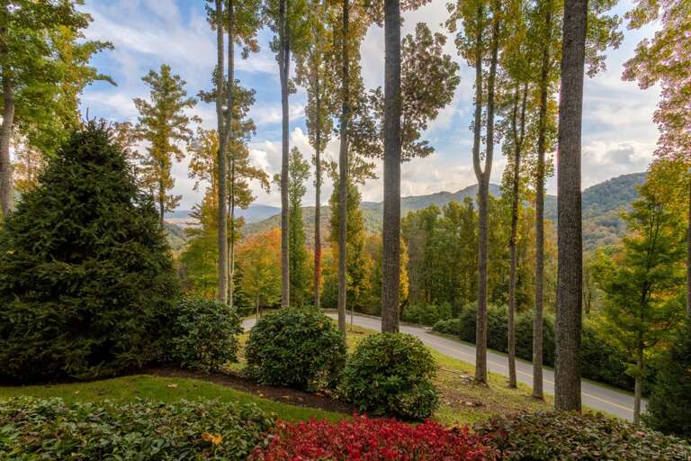 Views off of the lower level porch.
