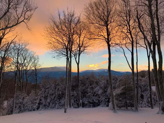 Sunset Over Snowy Landscape With Bare Trees