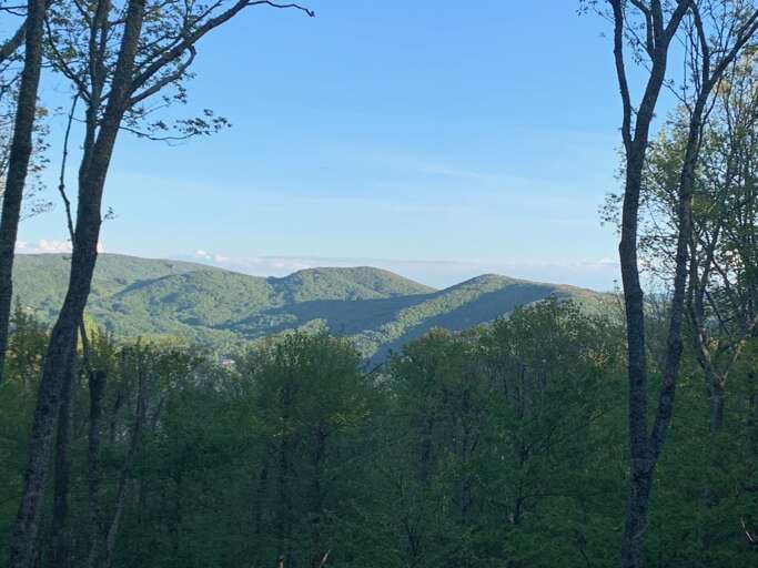Mountain Landscape Viewed Through Trees