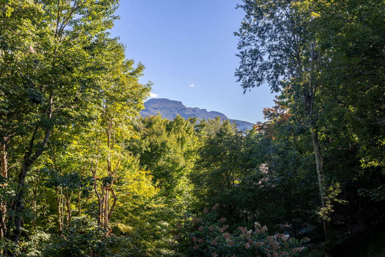 Profile Grandfather Mountain views!
