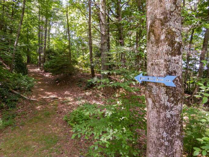 Forest Trail With Directional Sign On Tree