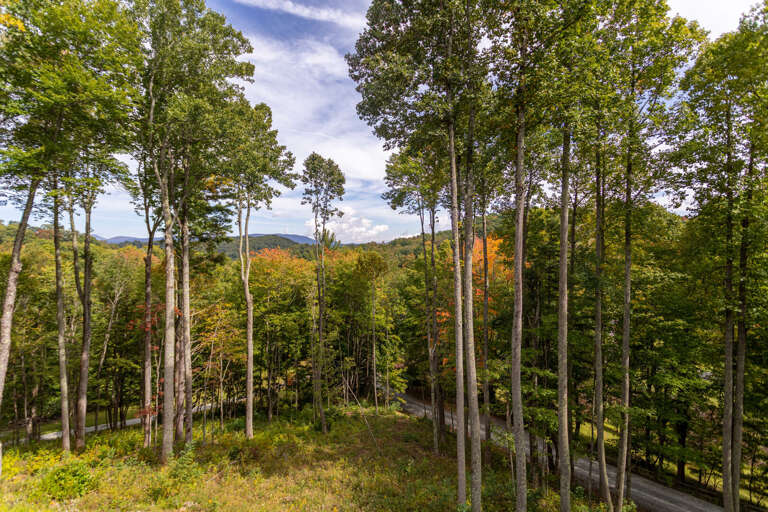Mountain views off back porch.