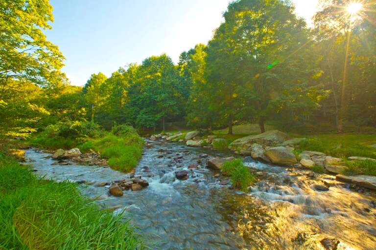 River running behind River Sound Cabin. River running behind River Sound Cabin.